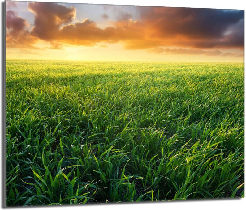 Glasschutzplatte für den Herd 60x52 Ansicht