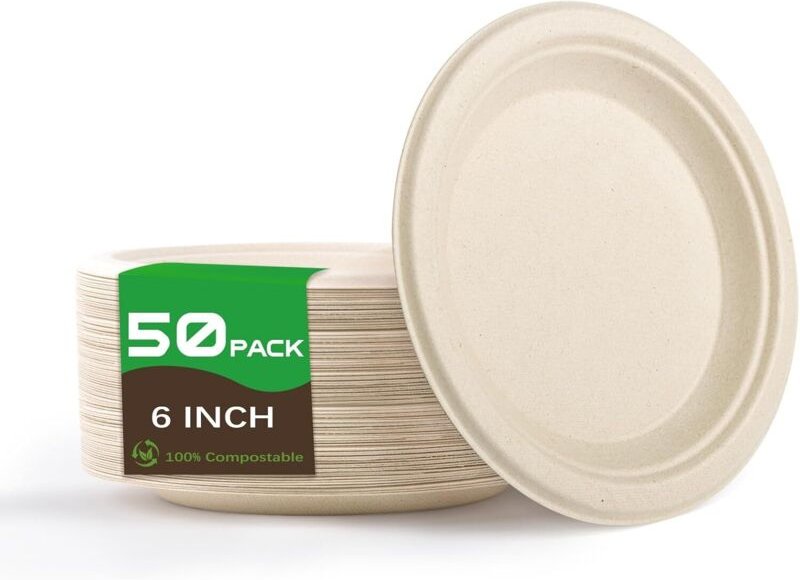 50 Stück Einwegteller, biologisch abbaubare runde Zuckerrohrteller, umweltfreundliches Pappgeschirr für Partys, Geburtst...