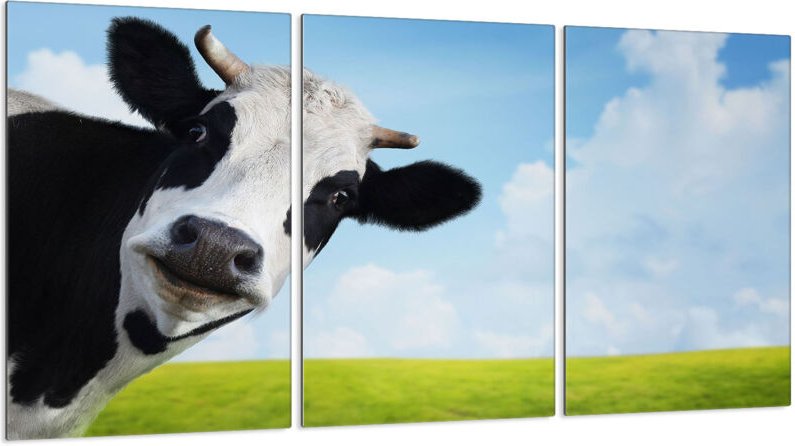 Glasschutzplatte für Herd 3x30x52