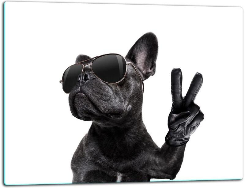 Glasschild Schneidebrett 52x40 Hund