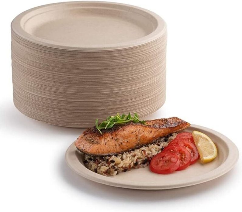 Packung mit 100 extra stabilen Papptellern, 100 % biologisch abbaubar und kompostierbar, umweltfreundlich, sehr widersta...