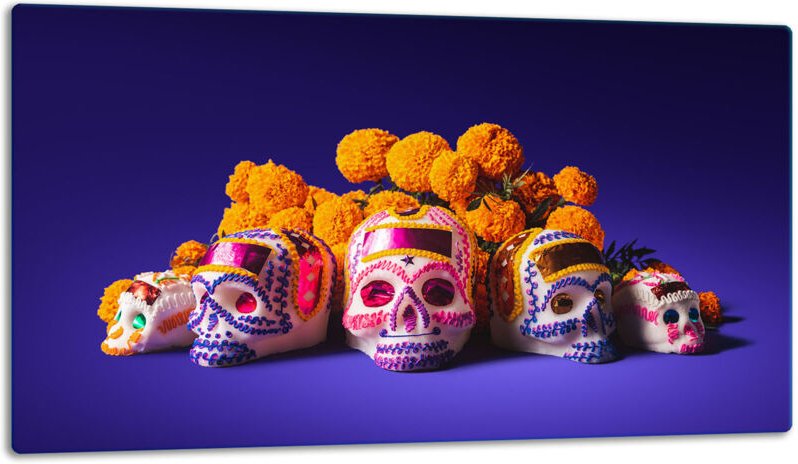 Glasschild Schneidebrett 52x30 Stück