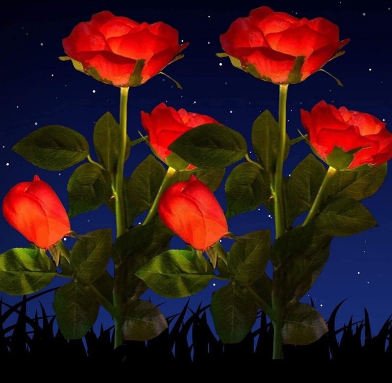 Gartendekoration mit Solarleuchten, 2-teilige wasserdichte Solarleuchten für den Garten, 2V Solar-Gartenleuchten mit ros...