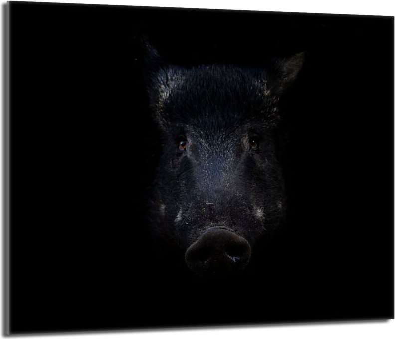 Glasschutzplatte für den Herd 60x52 Wildschwein