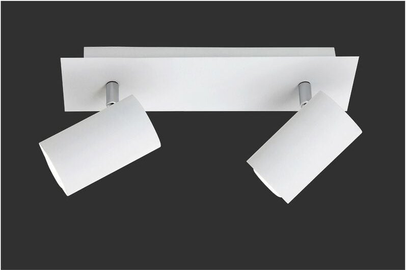 Deckenstrahler 2 verstellbare Spots Marley White Trio Lighting