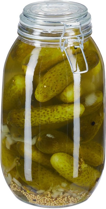 Relaxdays Einmachglas, 3 Liter, mit Deckel & Bügelverschluss, Einkochen & Aufbewahren, Bowle, Vorratsglas, transparent