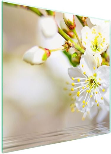 GLASSCHUTZPLATTE FÜR HERD 50x52 PFLAUME