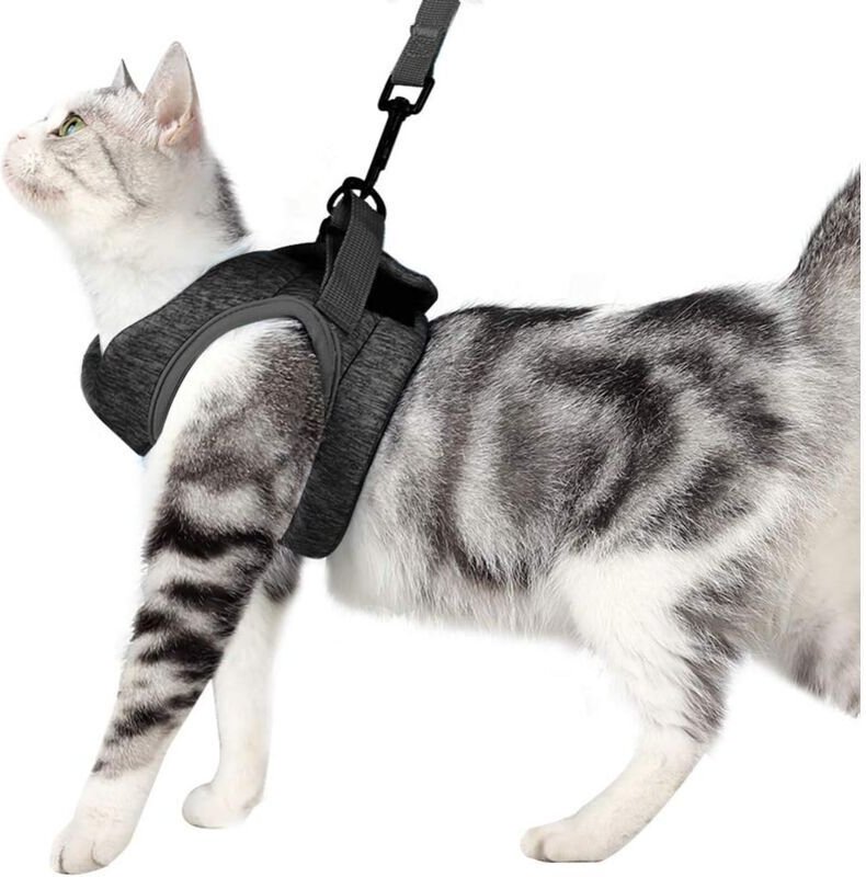 Vtizikl Harnais et laisse ultralégers pour chat, collier pour chaton, gilet de course doux et confortable pour chat, éta...