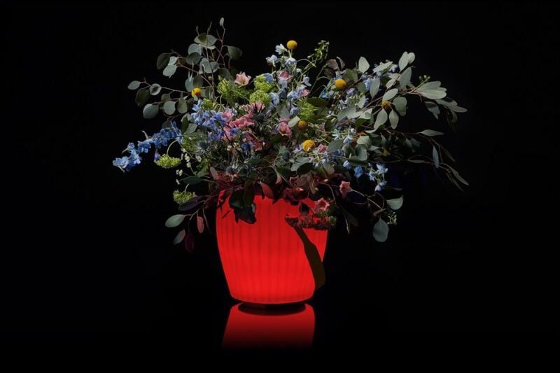 The Joouly Bowl l 3in1 LED-beleuchteter Getränkekühler mit Bluetooth-Lautsprecher