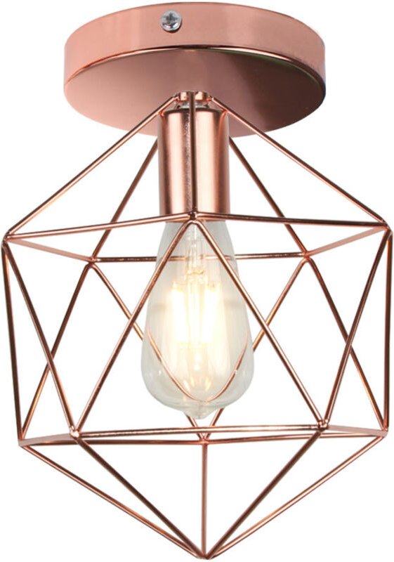 Deckenlampe, 25CM Industrielle Deckenleuchte aus Eisen Käfig Retro E27 Lampe für Schlafzimmer Küche Wohnzimmer Flur - Ro...