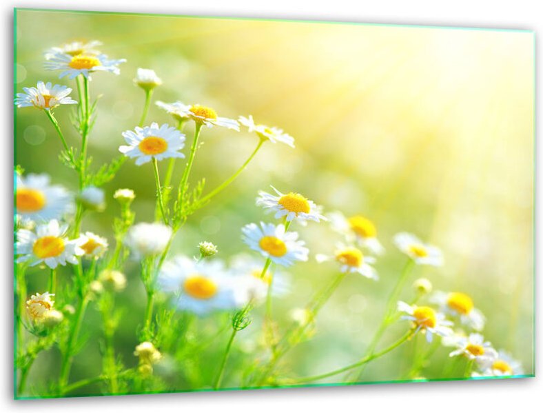 Glasschneidebrettständer 40x30 Blumen