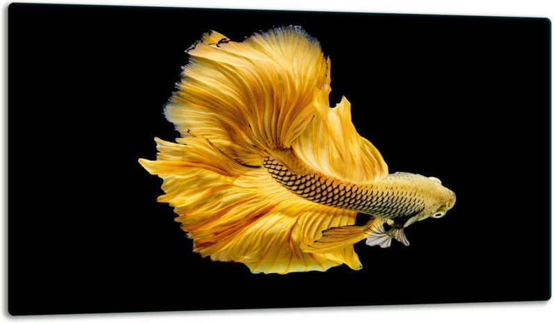 GlassplattenschneideBrett 52x30 Fisch