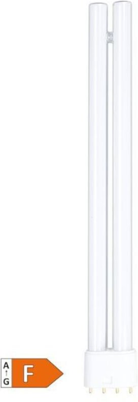 GSC - LED-Glühbirne pl 12W 2G11 4200K