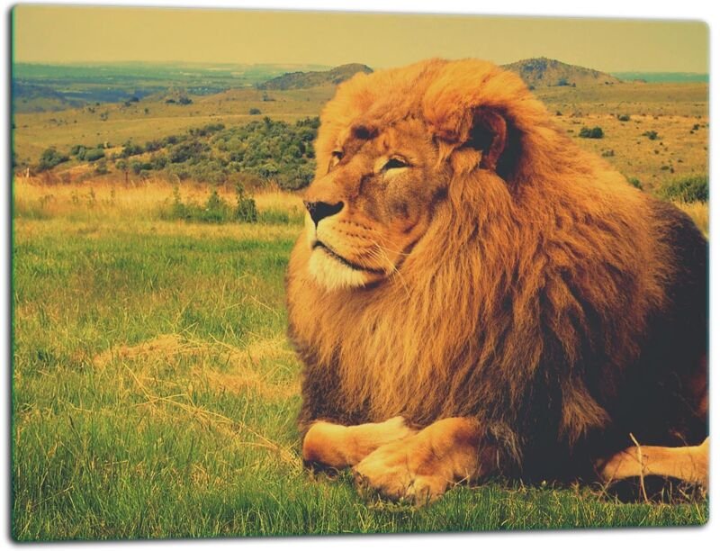 GlassplattenschneideBrett 52x40 Löwe