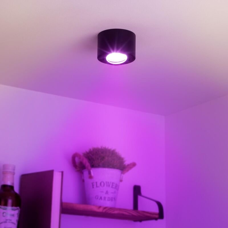 Flacher Aufbaustrahler rund schwenkbar Deckenleuchte - Farbe: schwarz - LED Leuchtmittel: 5W RGB+CCT 230V dimmbar 60°