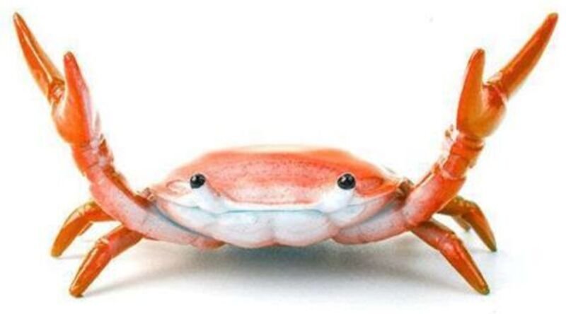 Kreativer, niedlicher Krabben-Stiftehalter für Gewichtheben, Krabben-Stiftehalterständer, Aufbewahrungsregal, Geschenk-S...