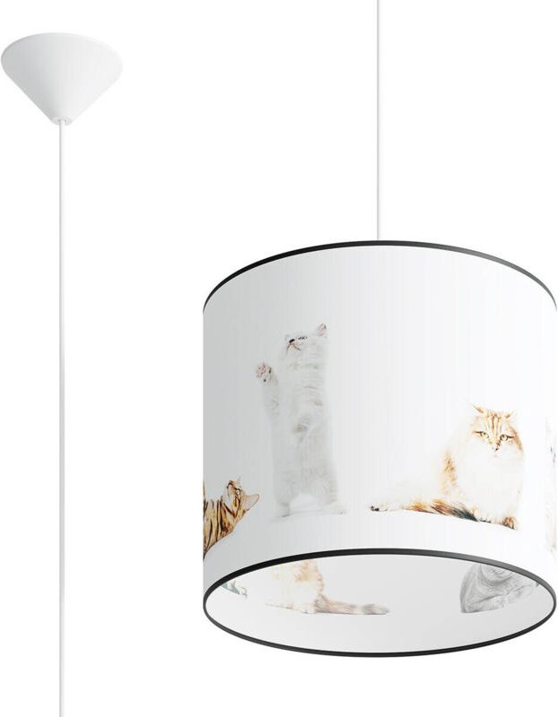 Sollux - Koty Zylindrische Pendel-Deckenleuchte Kitty 30cm