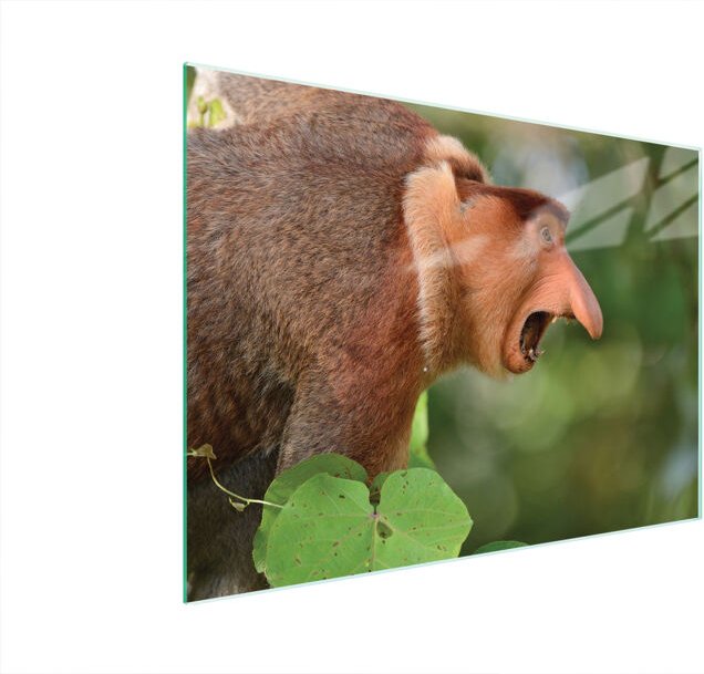 Glasschneidebrett 40x30 NOSACZ