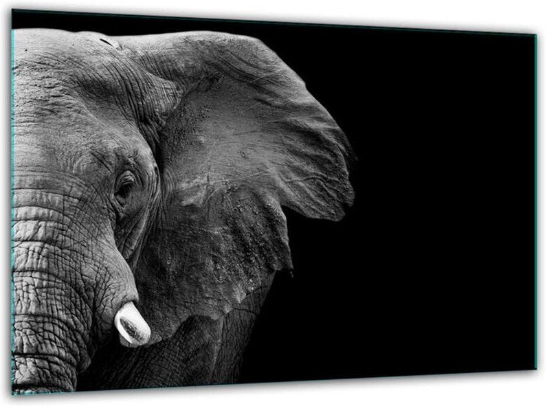 Glashakkungsbrett Mythos 30 x 22 Elefantentemperatur