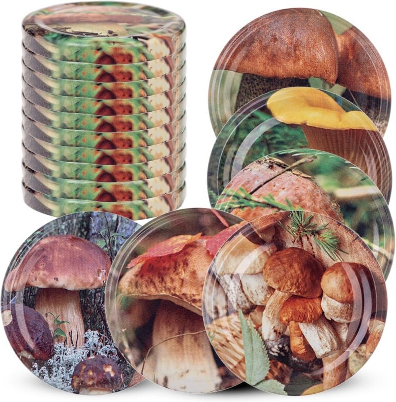 Deckel fi66 10er Pack Pilze-Mix - Kadax