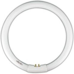 T9 Kreisförmige Leuchtstoffröhre T9 22W Licht 6500K