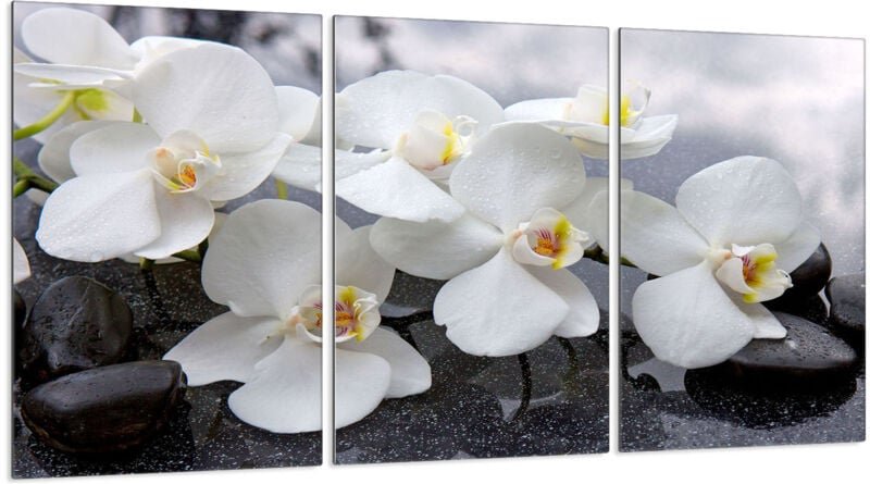 Glasschutzplatte für Herd 3x30x52