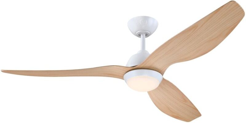 Dc Deckenventilator Magnolia mit led & Fernbedienung