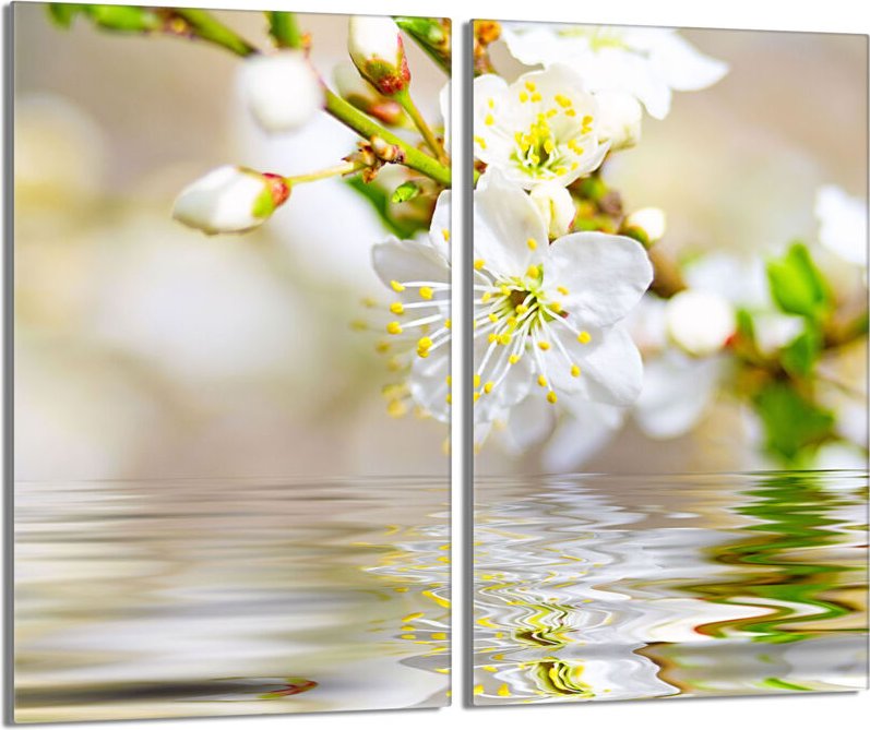 Glasschutzplatte für den Herd 2x30x52 Pflaume