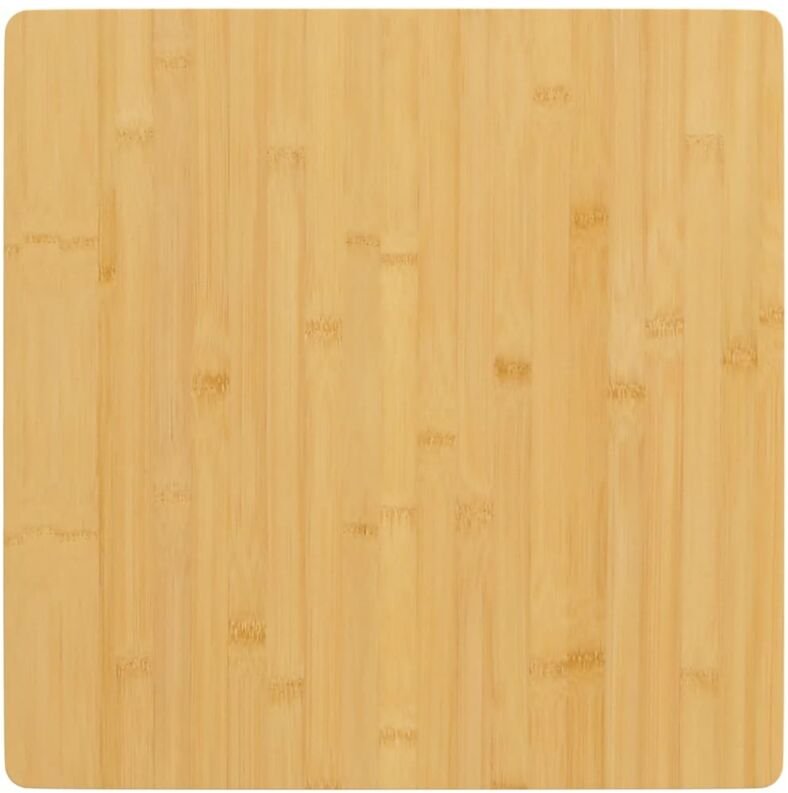 Maison Exclusive Tischplatte 60x60x2,5 cm Bambus
