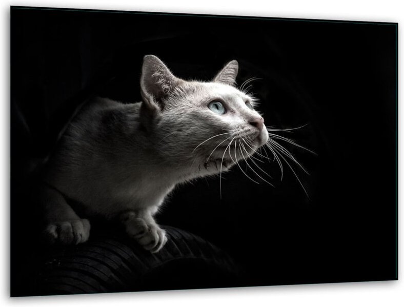 Glashakkungsbrett 40x30 Katze