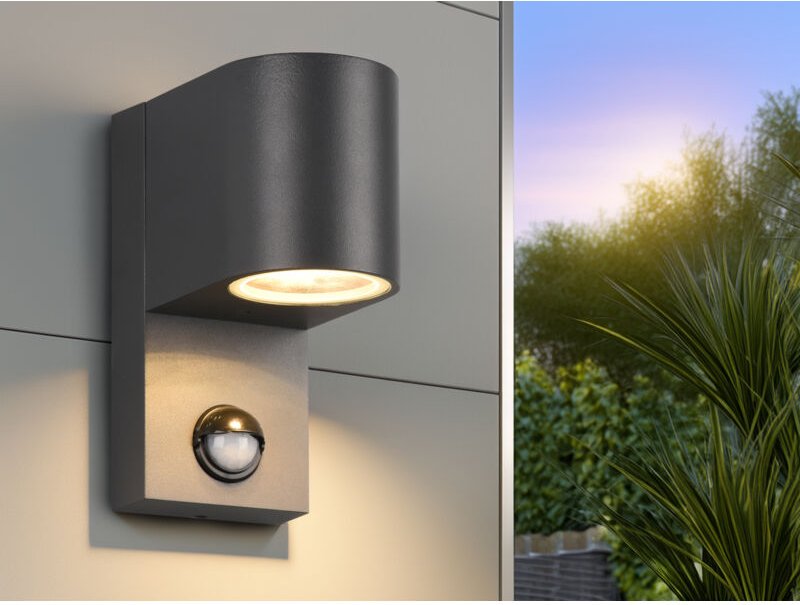 Runde Außenwandleuchte roya Downlight mit Bewegungsmelder, Anthrazit