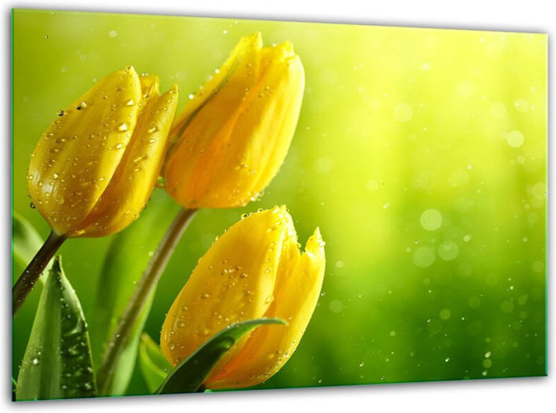 Glashackbrettt Temperler 30 x 22 Tulpen