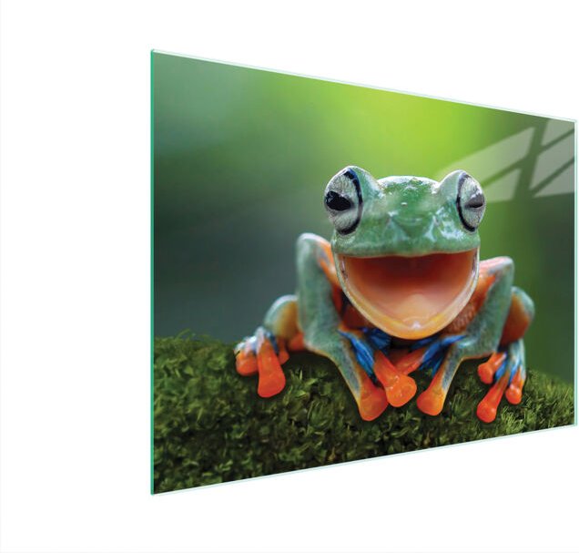 Glasschneidebrett 40x30 Frosch