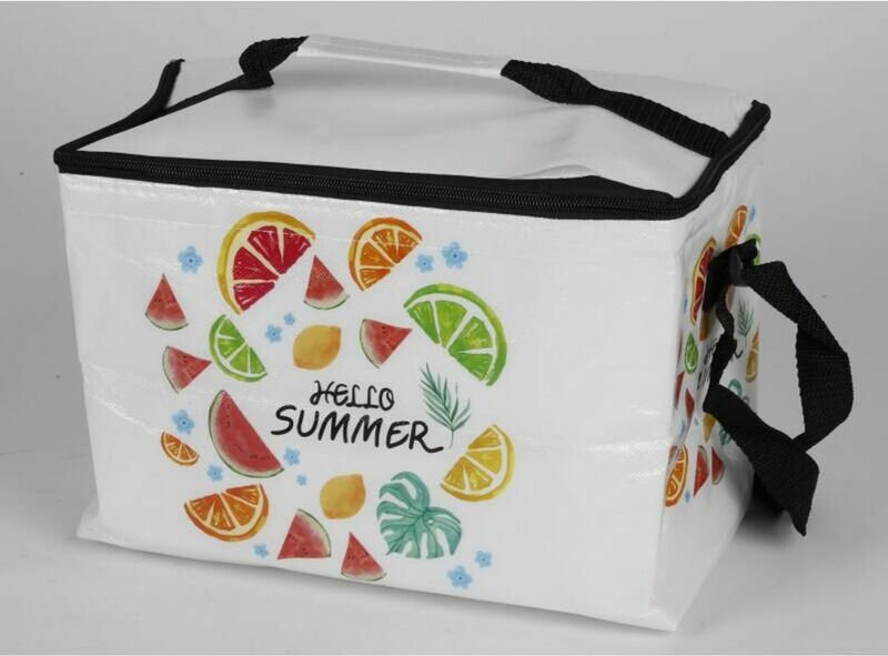 Buri - 24x Kühltasche 9l 30x15x22cm Küchenhelfer Küche Haushalt wohnen Camping Tasche