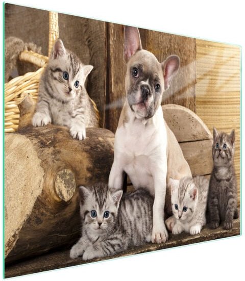 Glasschneidebrett 52x30 Hund