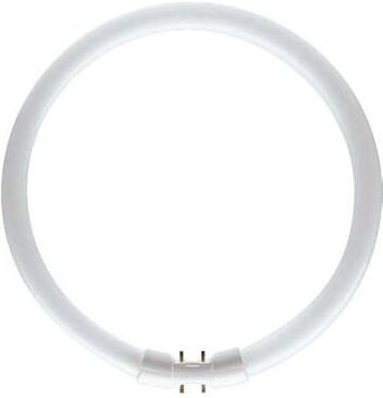 PHILIPS MASTER TL5 CIRCULAR 60W/840 1CT/10 Neutralweiß, Ringlampe mit Ø 379 mm, dimmbar