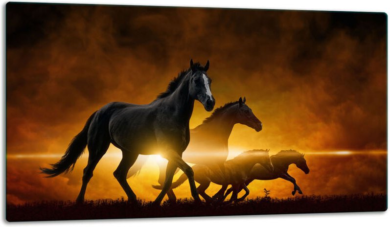 Glasschild Schneidebrett 52x30 Pferde