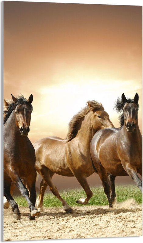 Glasschneidebrett 30x52 Pferde