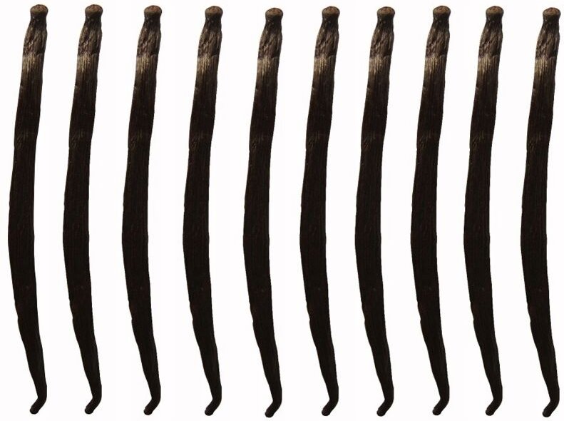 Thumbnail - VANILLESTICKS 10 STK 10-14 cm Vanillestange QUALITÄT 1 FRISCHE, FEUCHTE STICKS