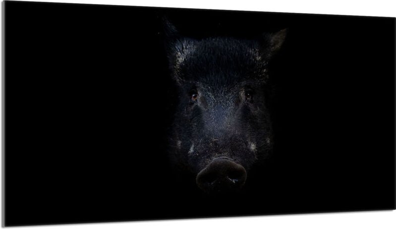 Glasschutzplatte für den Herd 90x52 Wildschwein