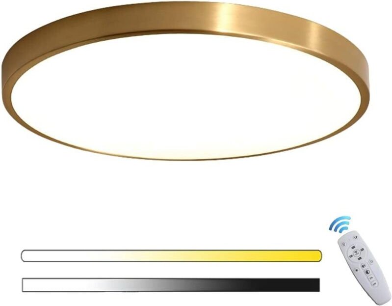 Runde goldene LED-Deckenleuchte, Innenpanel, dimmbare Deckenleuchte mit Fernbedienung, ultradünn, für Flur, Wohnzimmer, ...