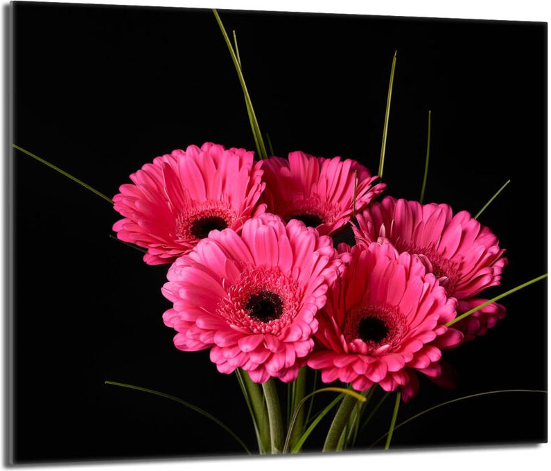 Glas-Herdplattenschutz 60x52 Gerbera