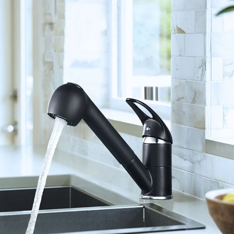 CECIPA Küchenarmatur mit ausziehbarer Brause, 360° drehbare Einloch-Spültischarmatur mit zwei Wasserstrahloptionen