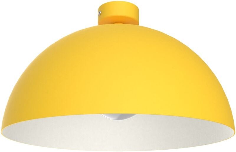 Cassis Plafoniera Bicolore Opaco