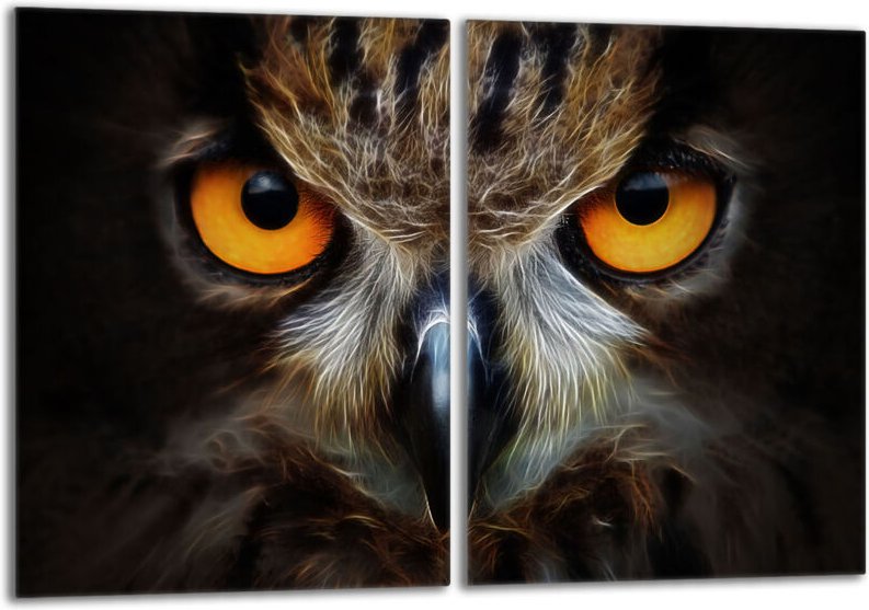 Glasschutzplatte für den Herd 2x40x52 Eule