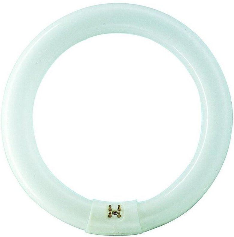 Tl-e 22W/840 1CT/12 Kaltweiß, Ringlampe mit ø 213,5 mm, dimmbar - Philips