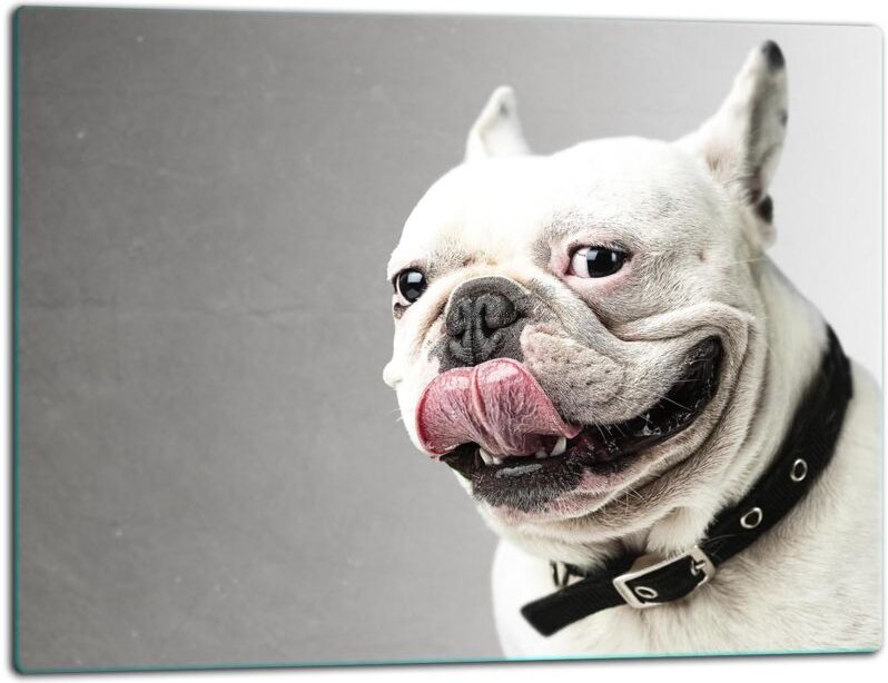 Glasschild Schneidebrett 52x40 Hund