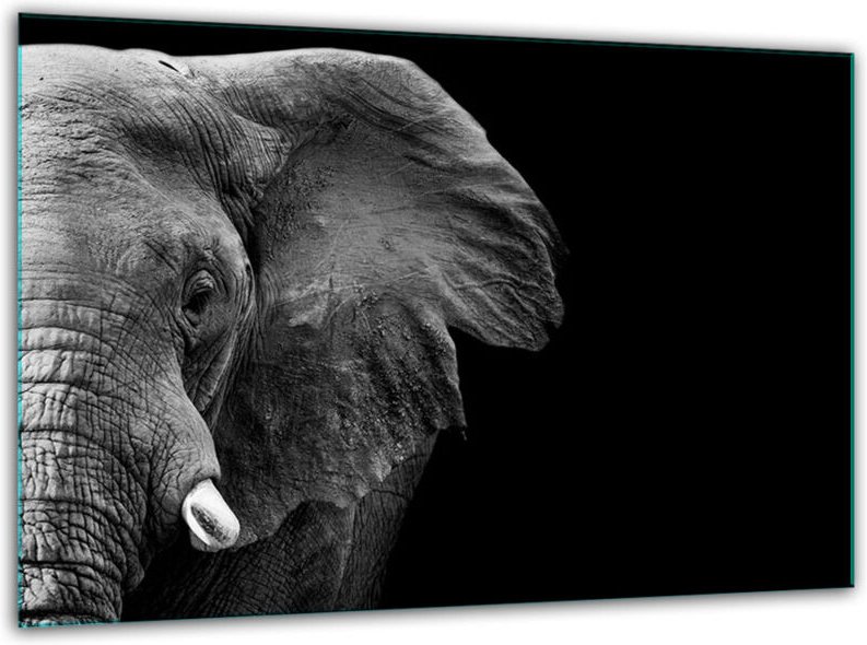 Glashakkungsbrett Mythos 30 x 22 Elefantentemperatur