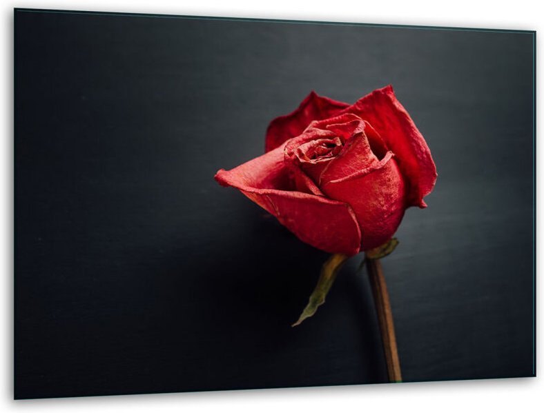 Glashakkungsbrettänder 40x30 Rose