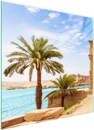 GLASSCHUTZPLATTE FÜR HERD 50x52 PALMEN